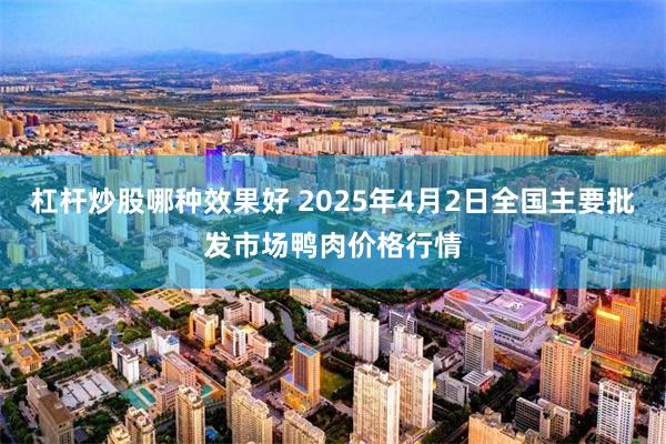 杠杆炒股哪种效果好 2025年4月2日全国主要批发市场鸭肉价格行情