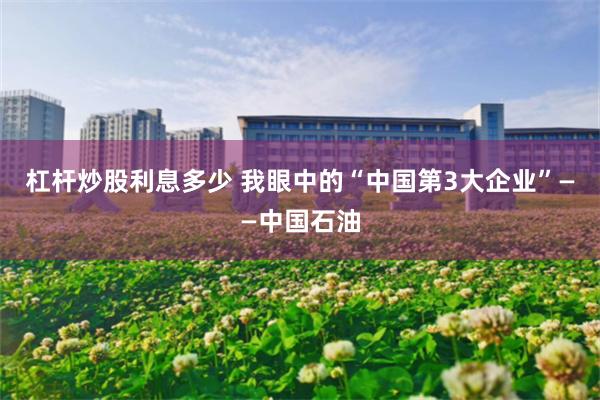 杠杆炒股利息多少 我眼中的“中国第3大企业”——中国石油