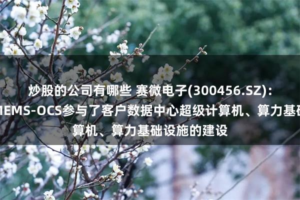 炒股的公司有哪些 赛微电子(300456.SZ)：生产制造的MEMS-OCS参与了客户数据中心超级计算机、算力基础设施的建设