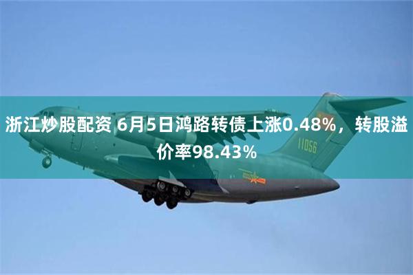 浙江炒股配资 6月5日鸿路转债上涨0.48%，转股溢价率98.43%