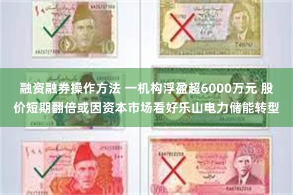 融资融券操作方法 一机构浮盈超6000万元 股价短期翻倍或因资本市场看好乐山电力储能转型